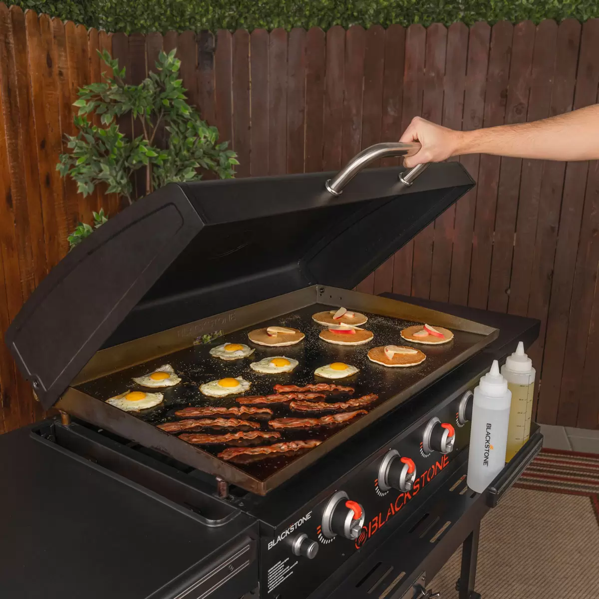 Alternate Image 1